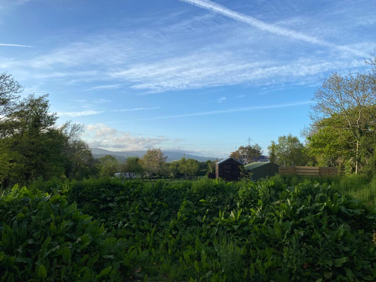 Cosy Double Shepherds Hut In Beautiful Wicklow With Underfloor Heating Throughout Rathnew Εξωτερικό φωτογραφία